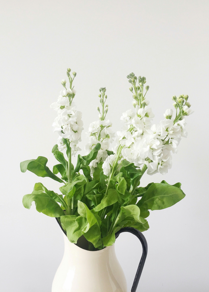 Soothing White Flowers 15.7 oz Liquid Hand Soap